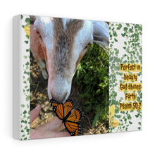 Load image into Gallery viewer, Goat and butterfly &quot;perfect in beauty, God shines forth&quot; Psalm 50:2 Canvas Gallery Wraps

