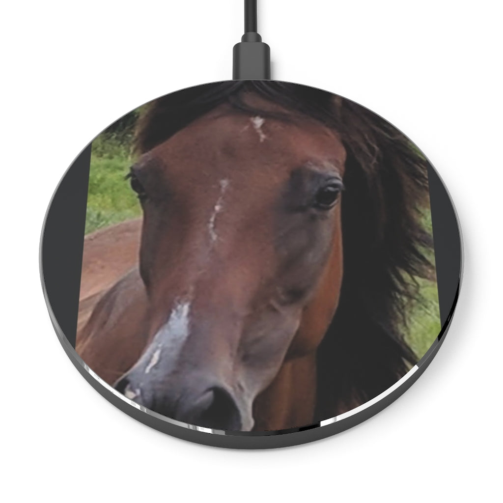 Bay Beauty/ Arabian Horse/Wireless Charger