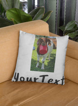 Load image into Gallery viewer, Pets on Pillows
